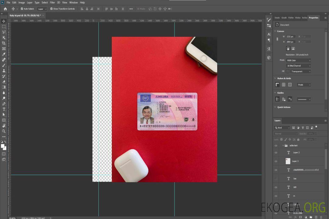 Photolook du permis de conduire estonien AVANT template